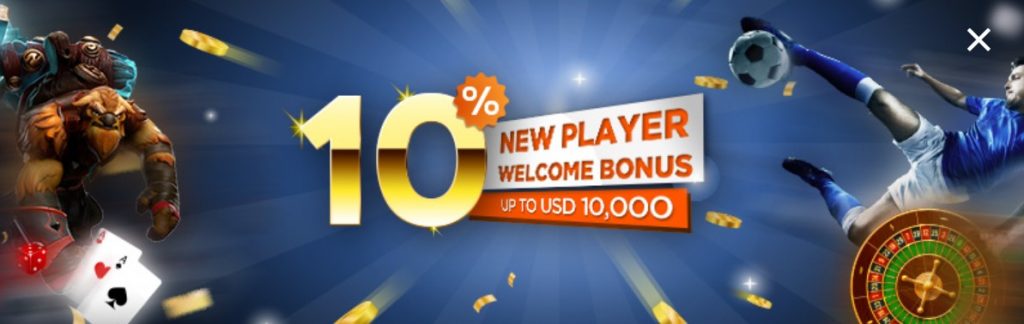 Бонус 10% в БК Пинакл888